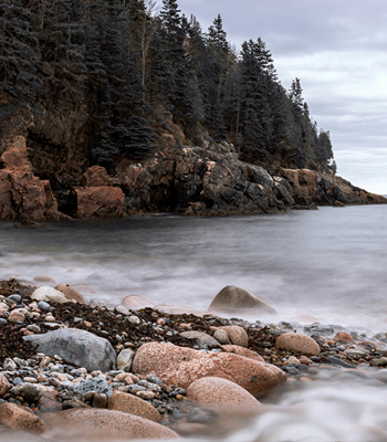 two professional advisors discussing statistics